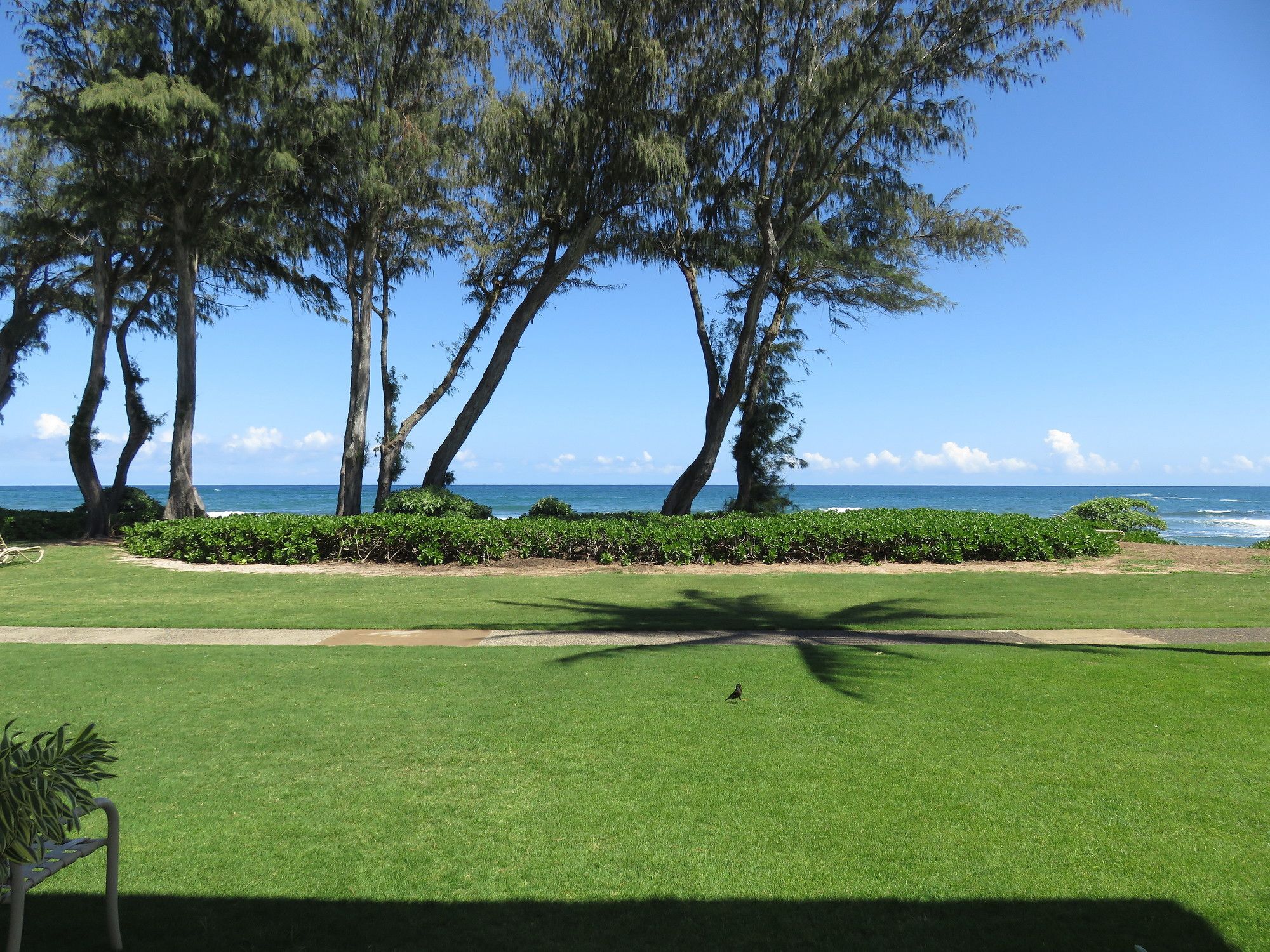 Kreller's Islander Getaway