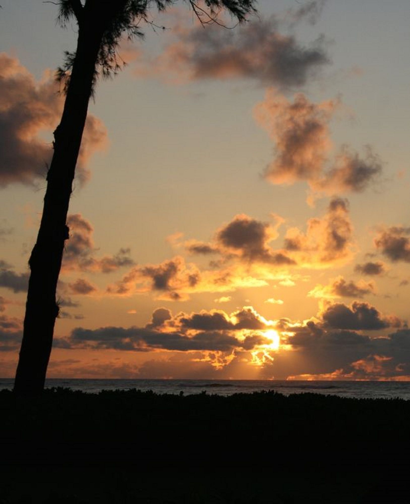 Kreller's Islander Getaway