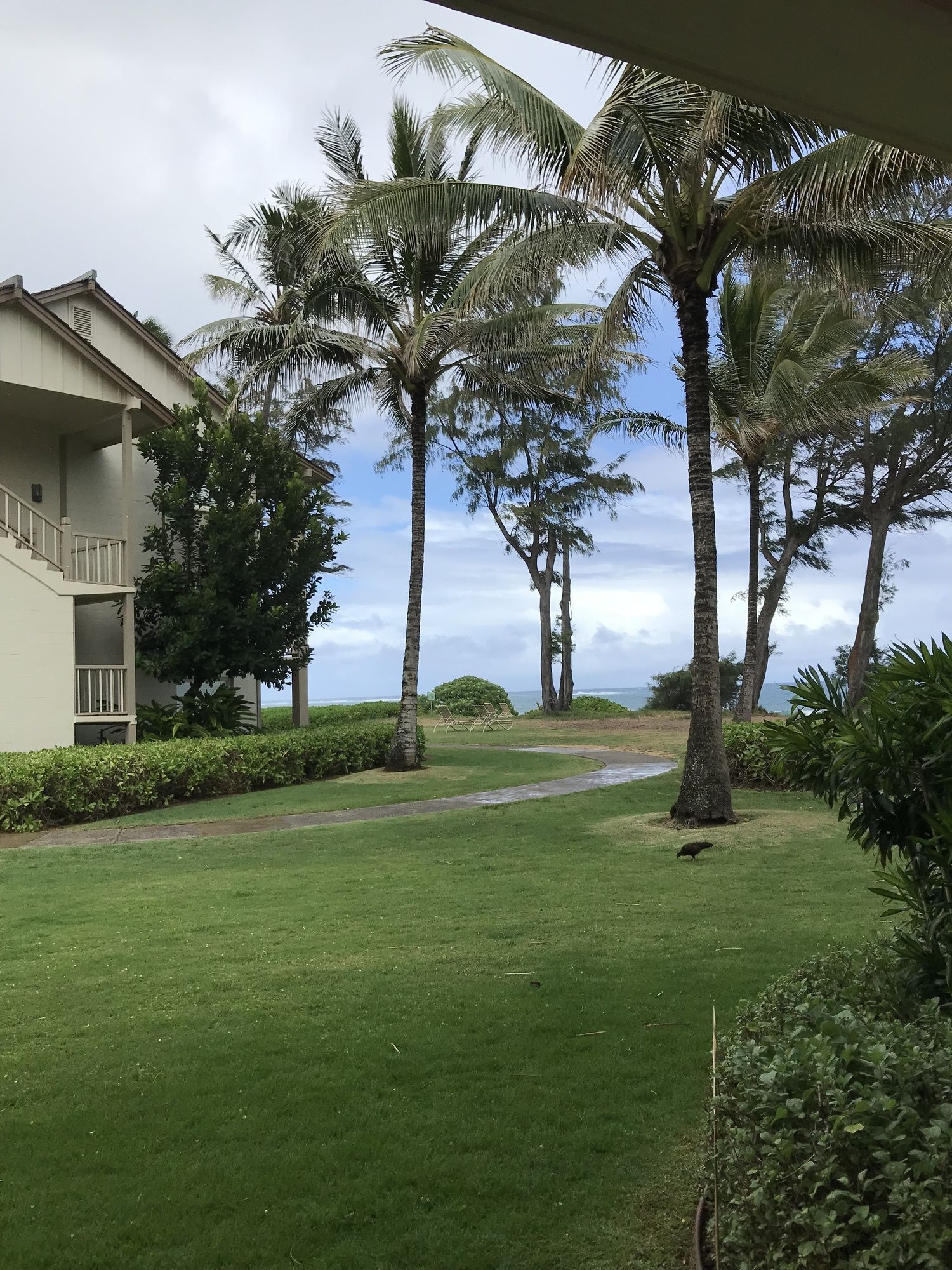Kreller's Islander Getaway