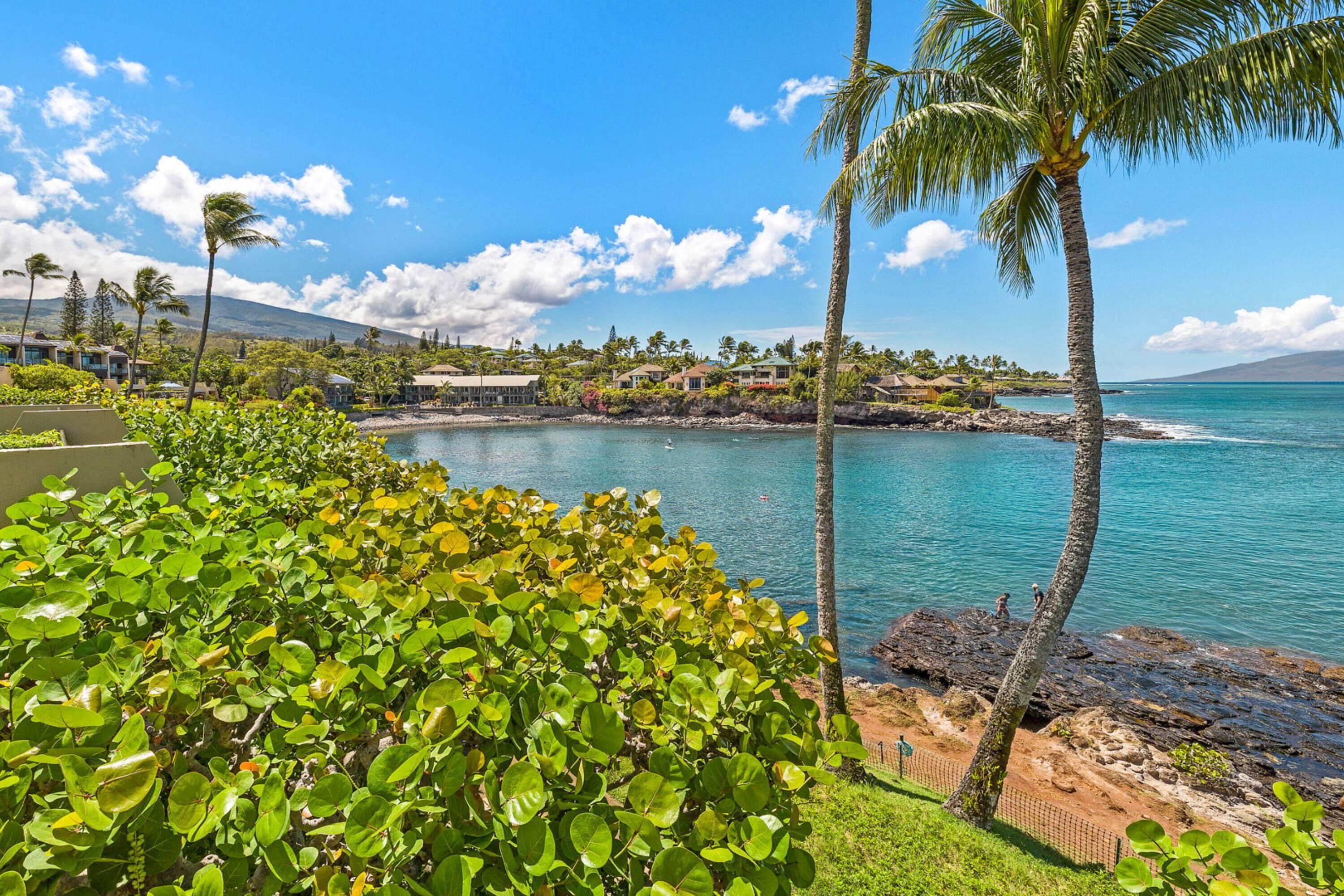Napili Point Resort by Maui Life Realty