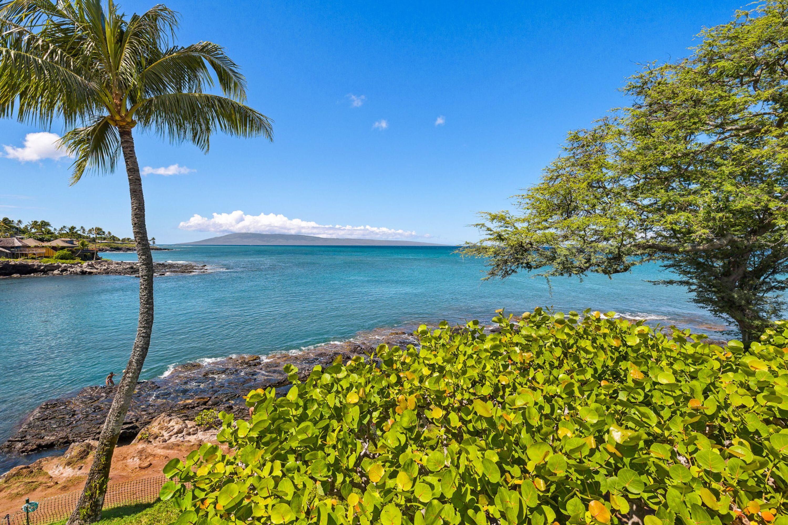 Napili Point Resort by Maui Life Realty