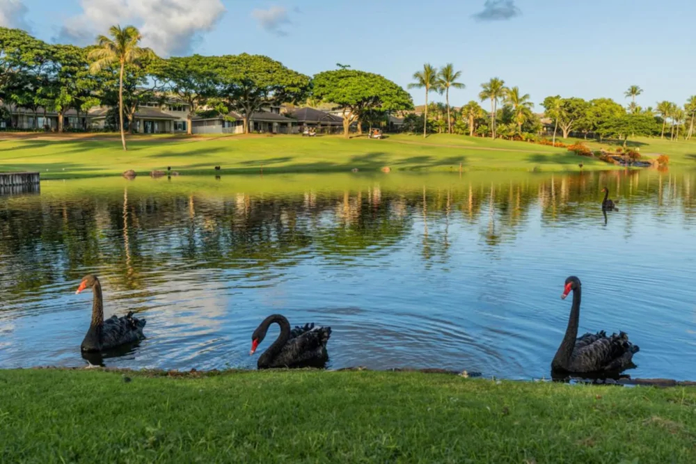 Ko'olina Kai Golf Villa