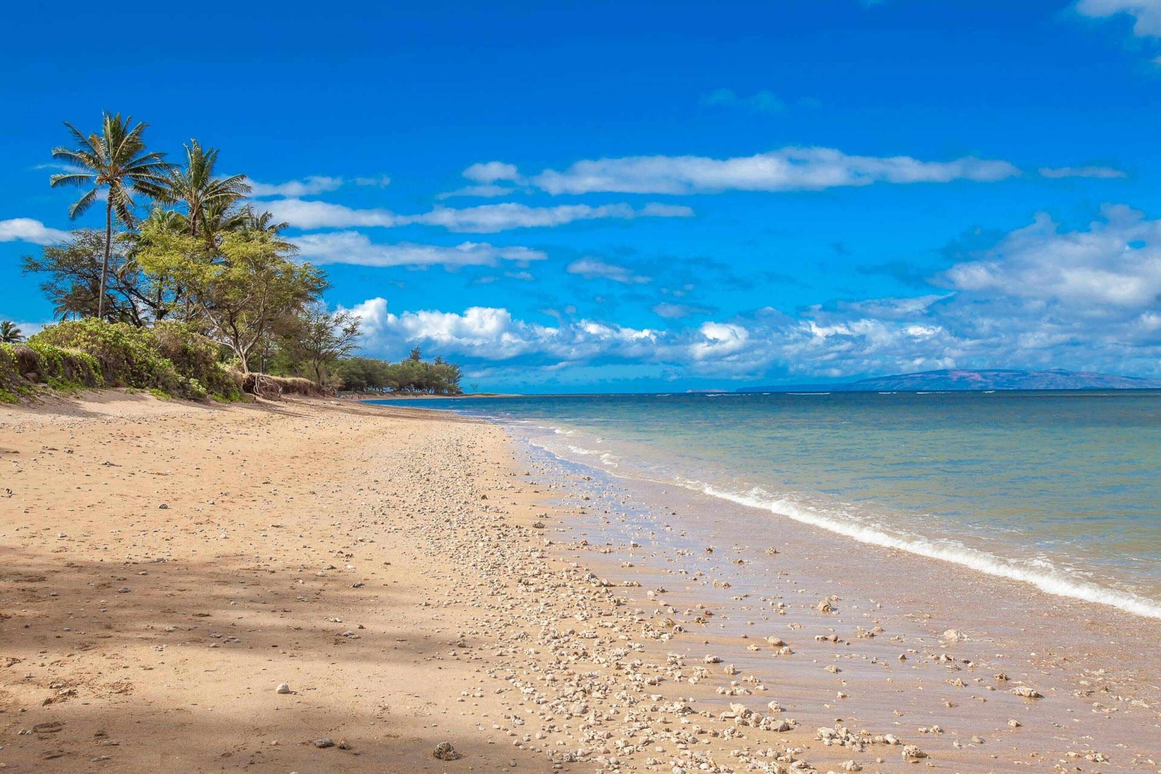 Building C by Coldwell Banker Island