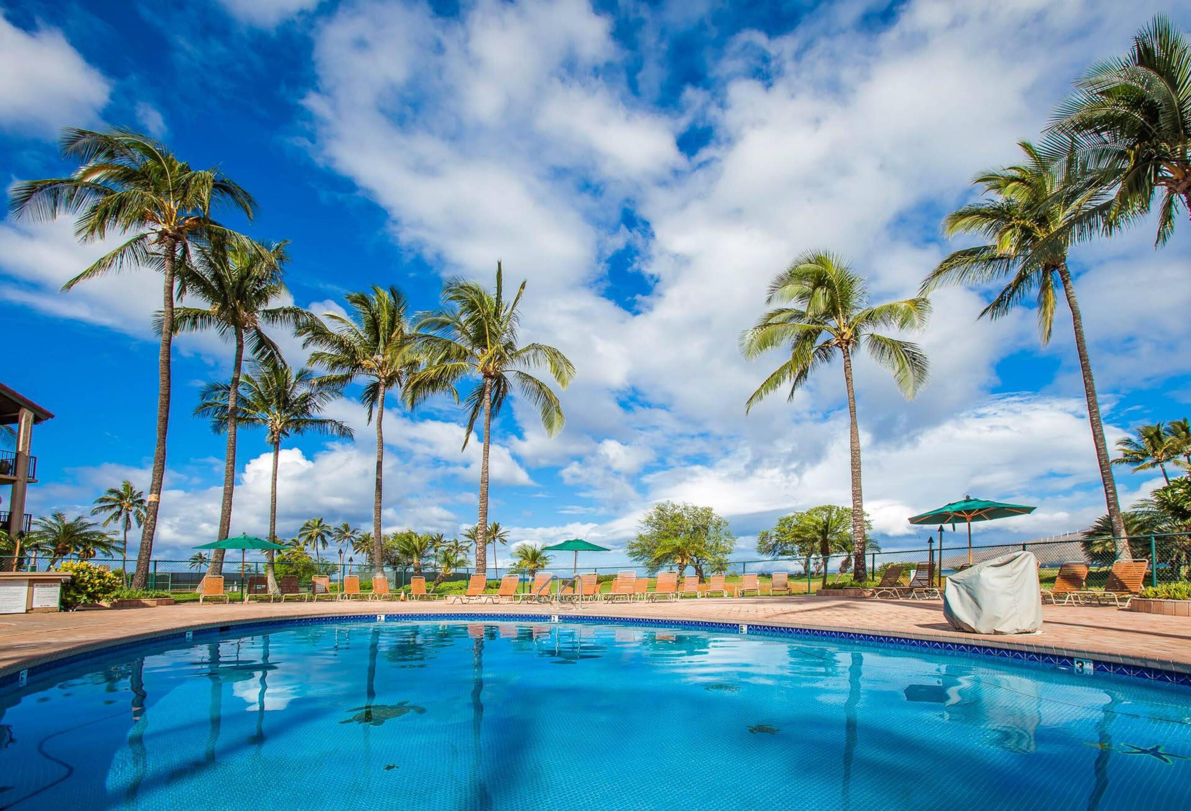 Building C by Coldwell Banker Island