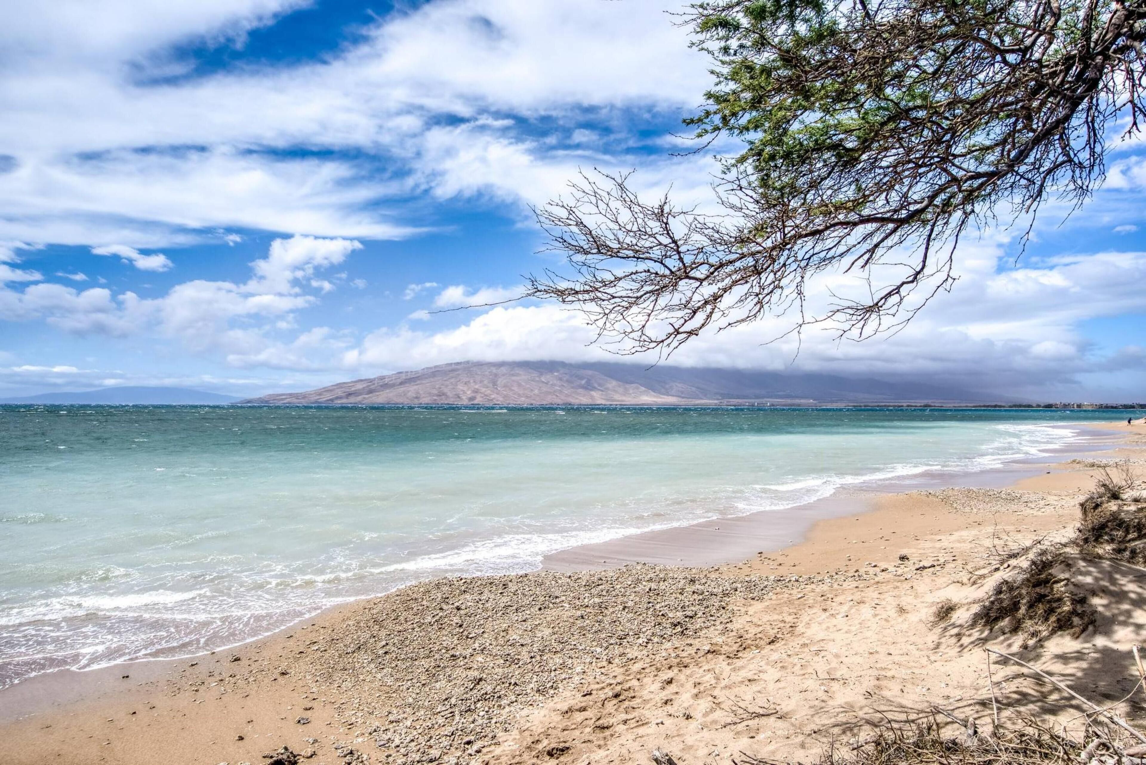 Building C by Coldwell Banker Island