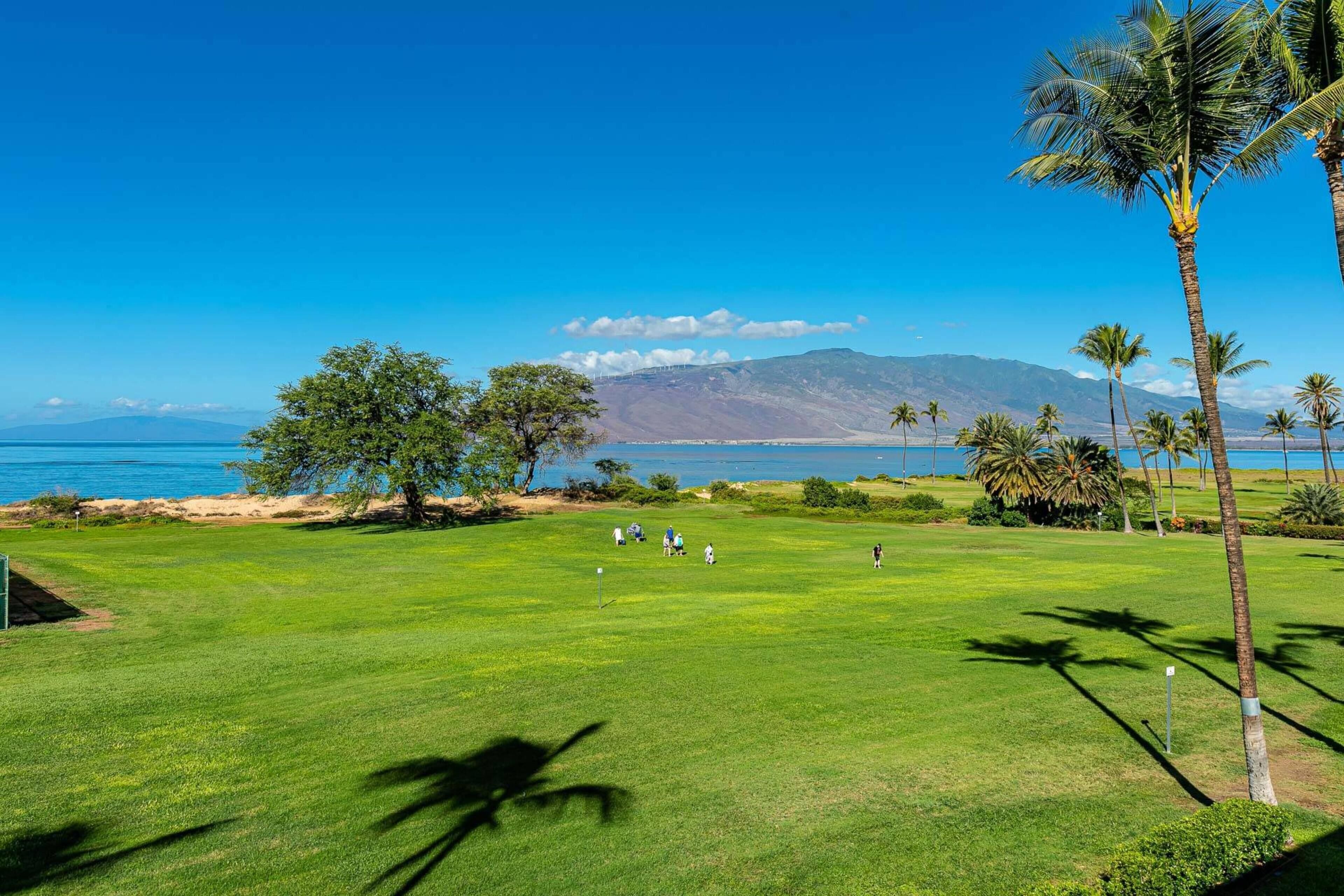 Building C by Coldwell Banker Island