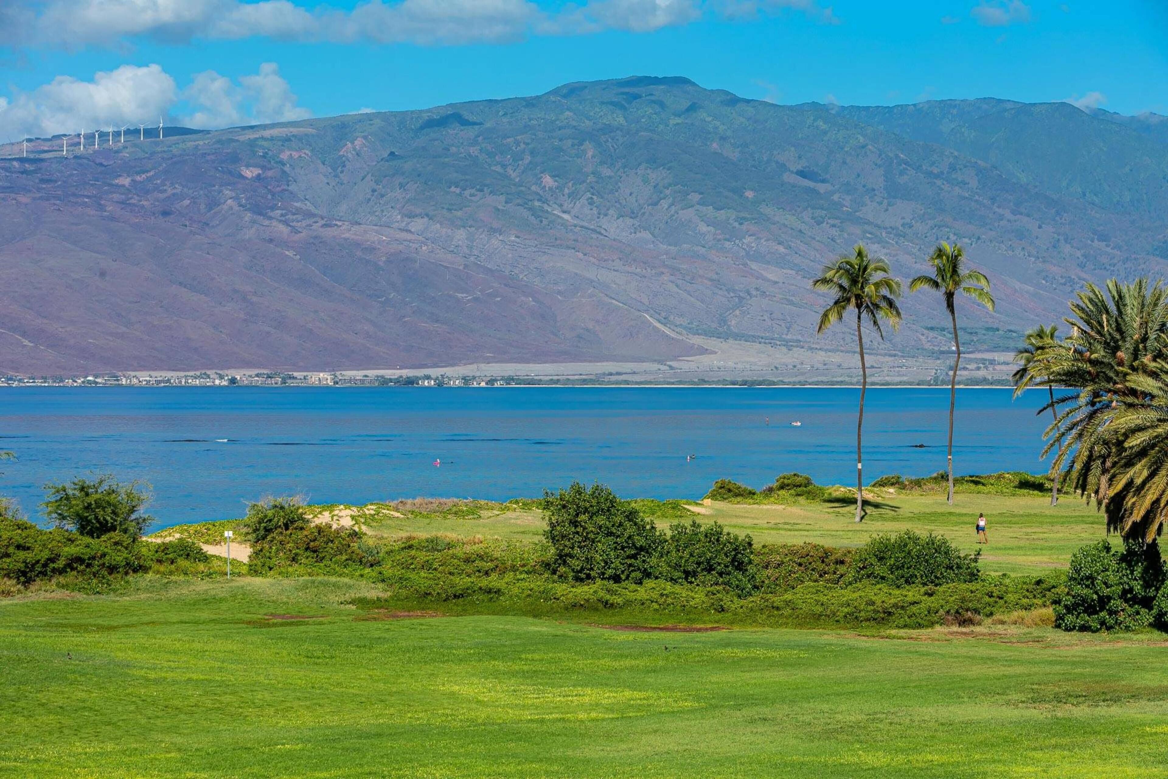 Building C by Coldwell Banker Island