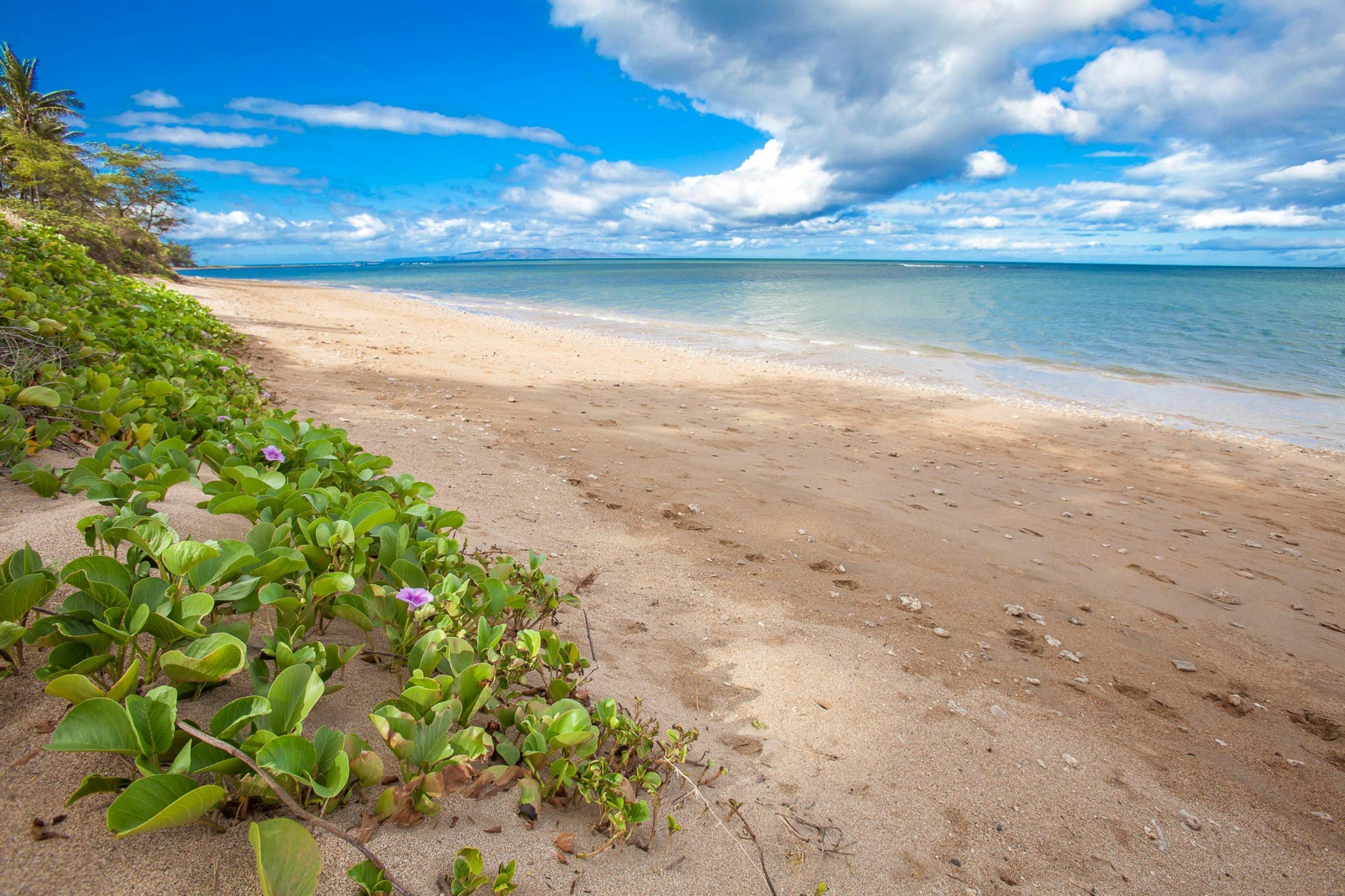 Building D by Coldwell Banker Island Vacations