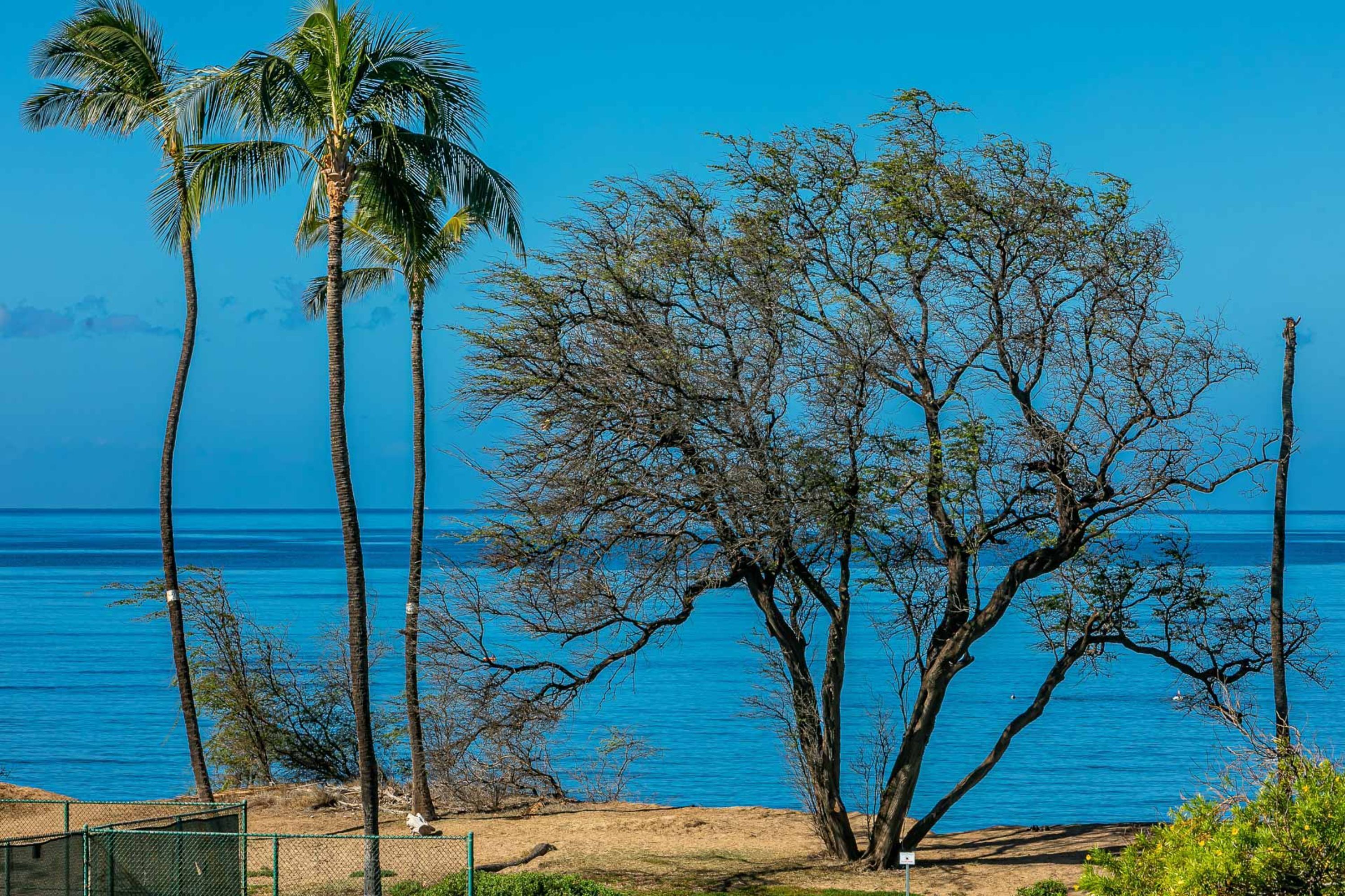 Building D by Coldwell Banker Island Vacations