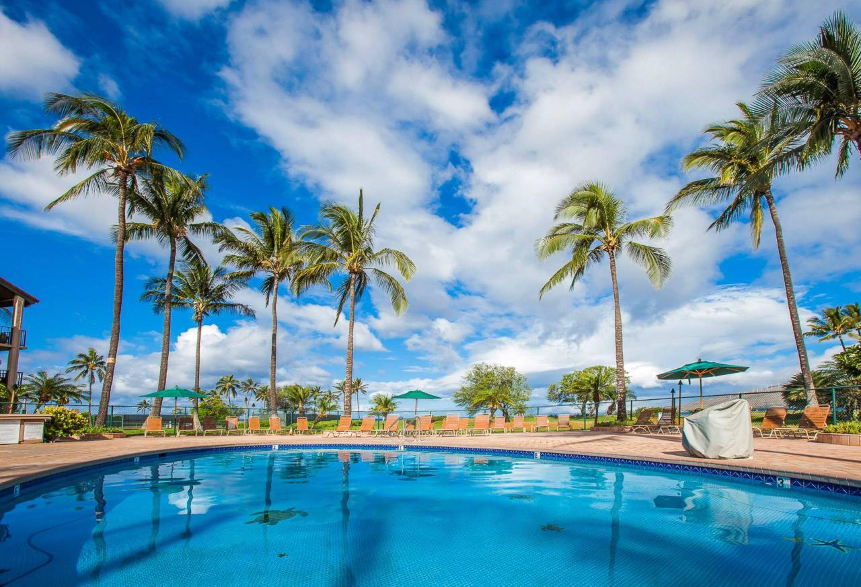 Building D by Coldwell Banker Island Vacations