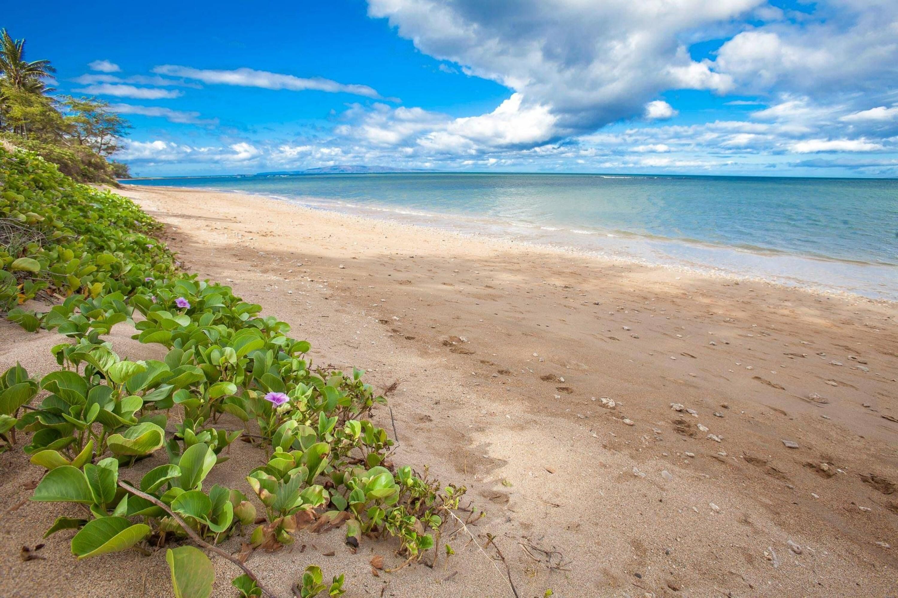 Building D by Coldwell Banker Island Vacations