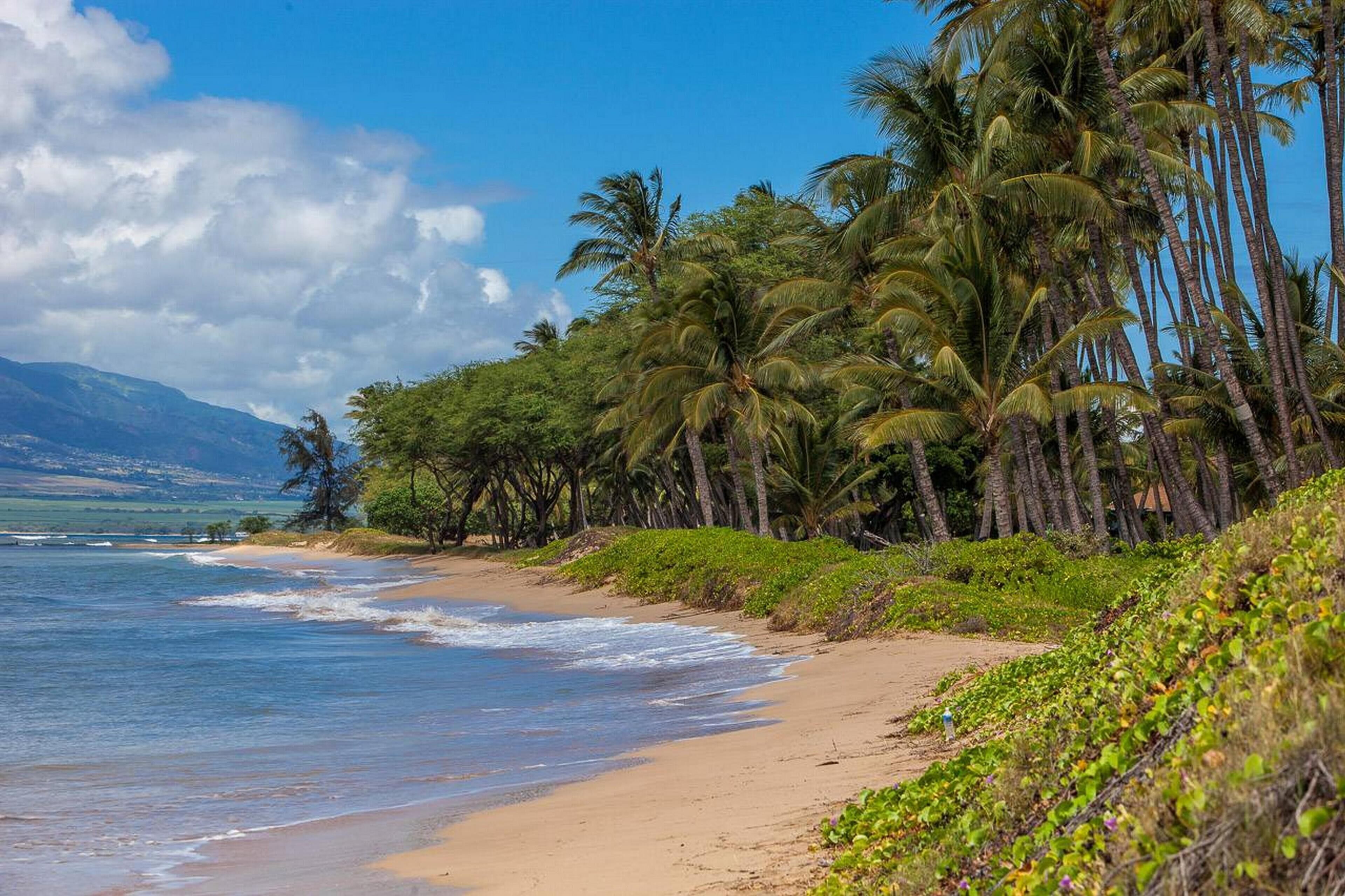 Building D by Coldwell Banker Island Vacations