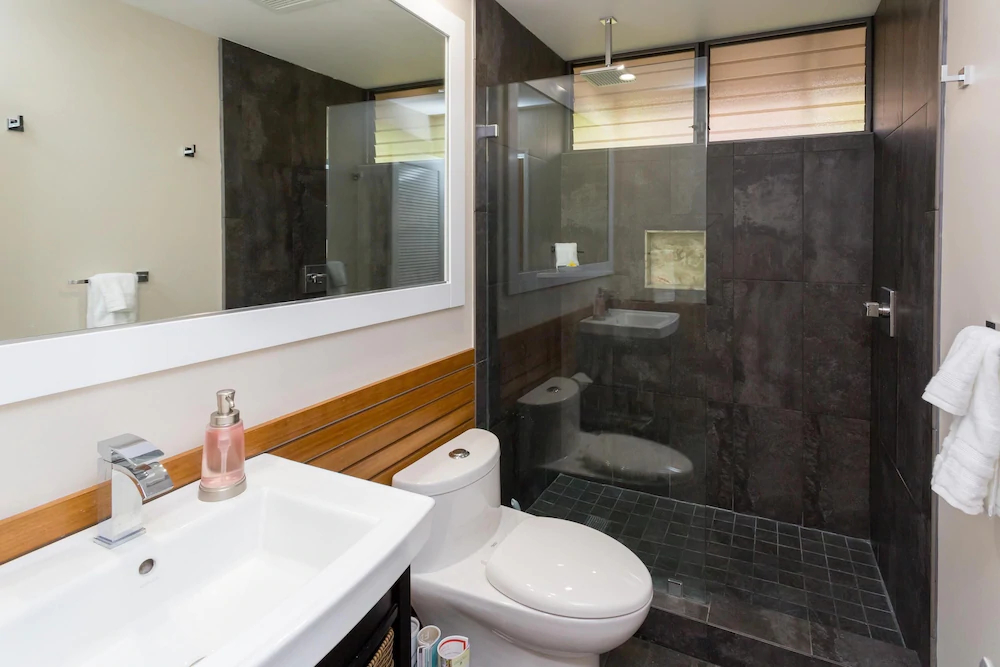 Grand Champions by VTrips