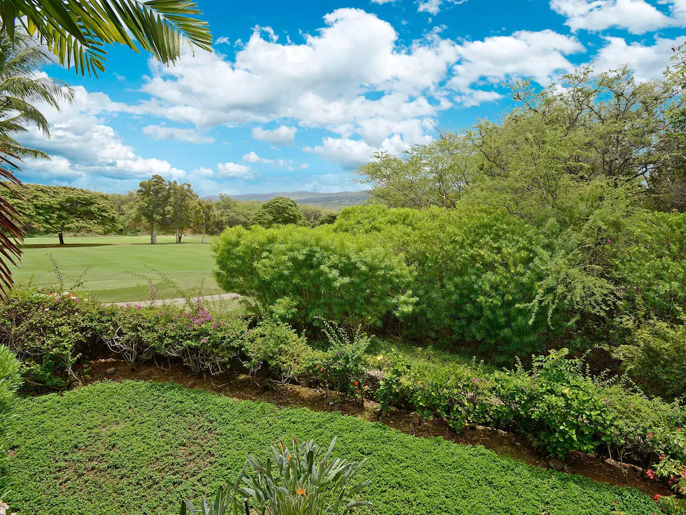 Grand Champions by VTrips