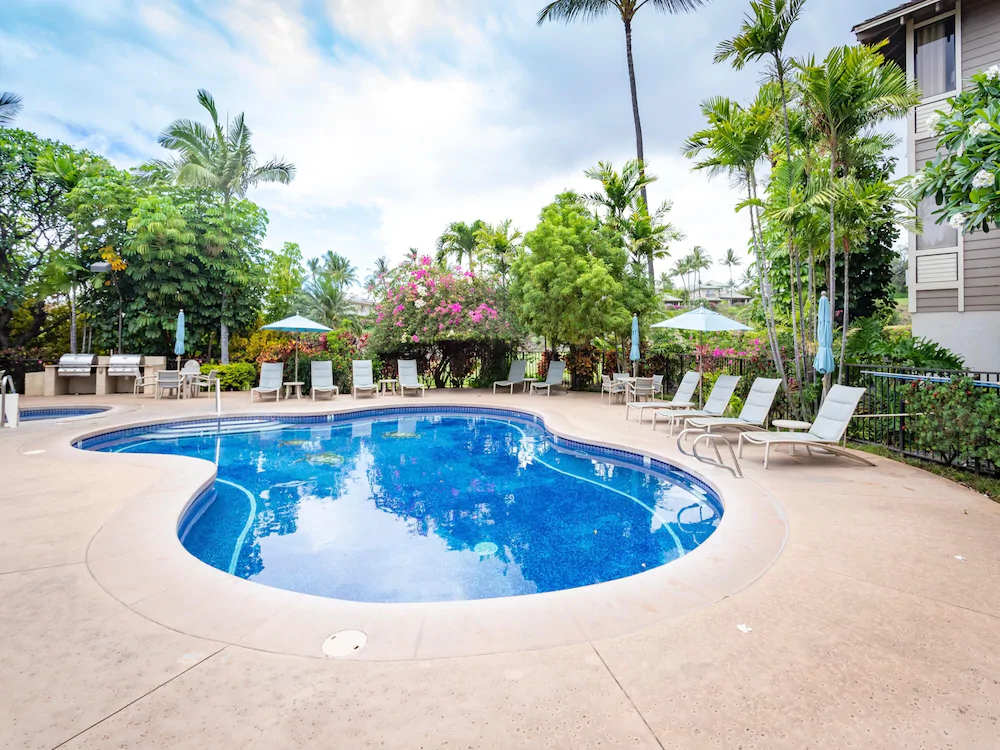 Grand Champions by VTrips