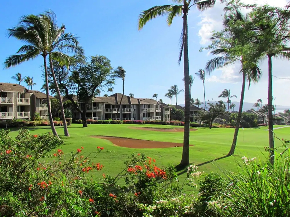 Grand Champions by VTrips