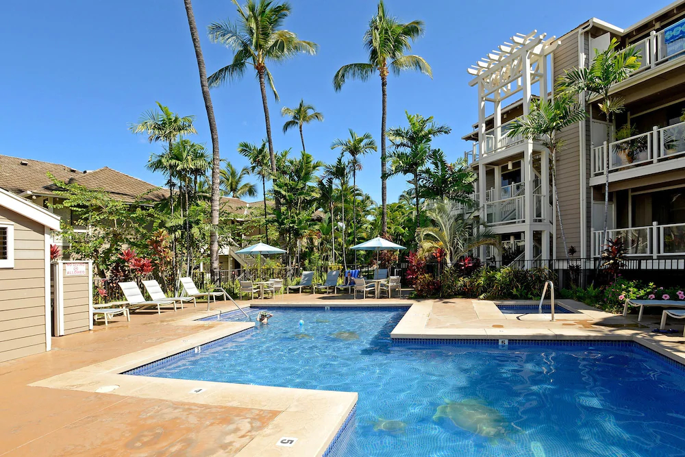 Grand Champions by VTrips