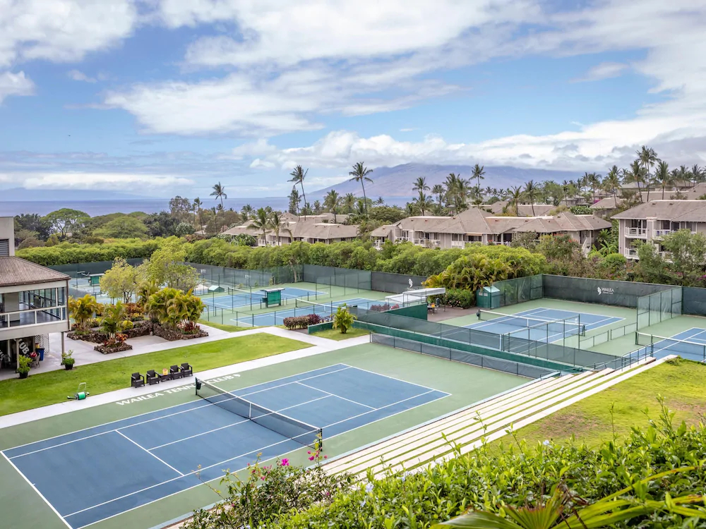 Grand Champions by VTrips