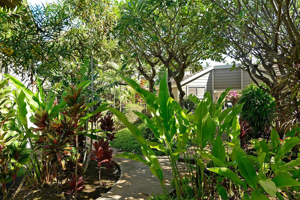 Grand Champions by VTrips