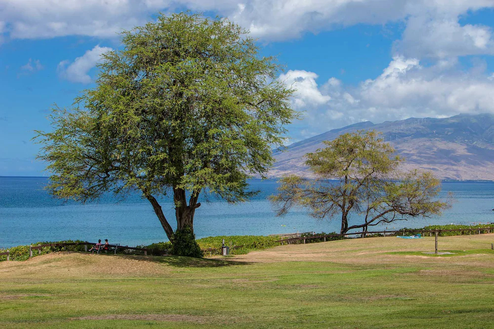 Hale Kamaole by Coldwell Banker Island Vacations