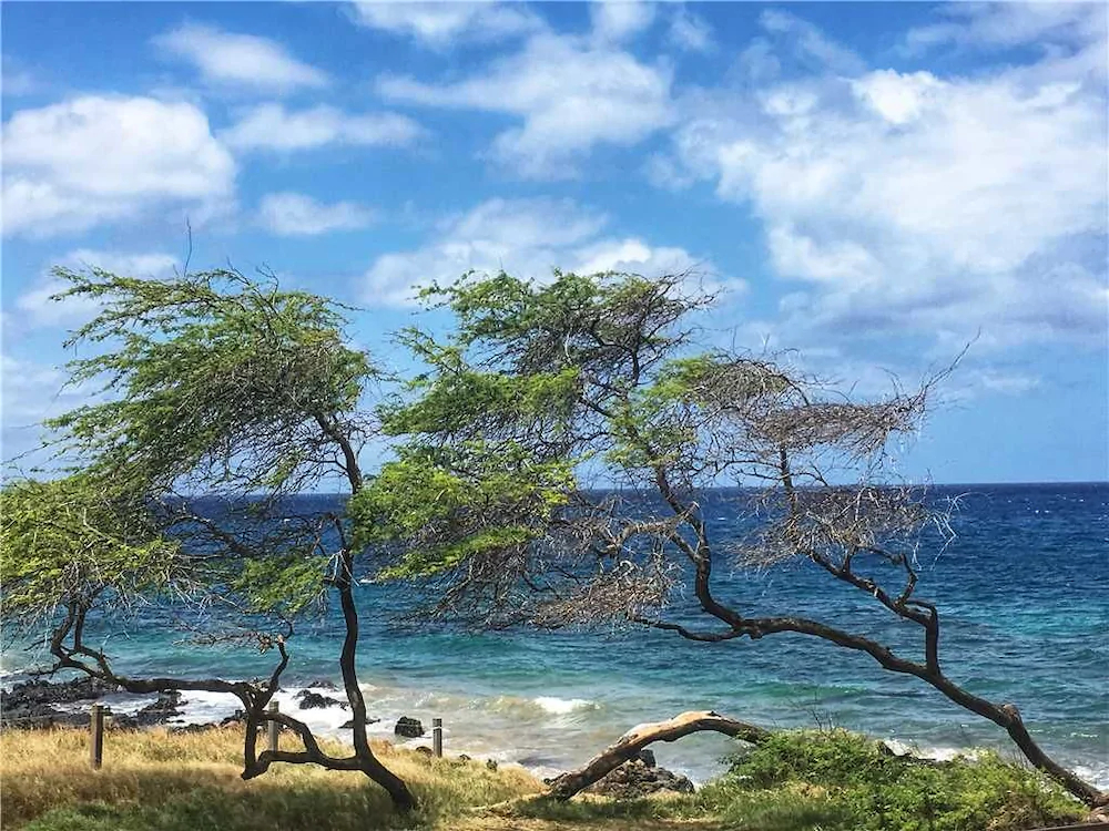 Kamaole Sands Resort