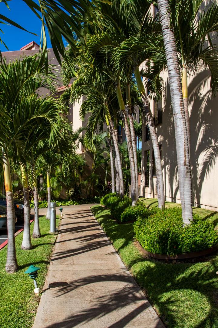 Kamaole Sands Resort