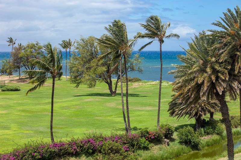 Kauhale Makai