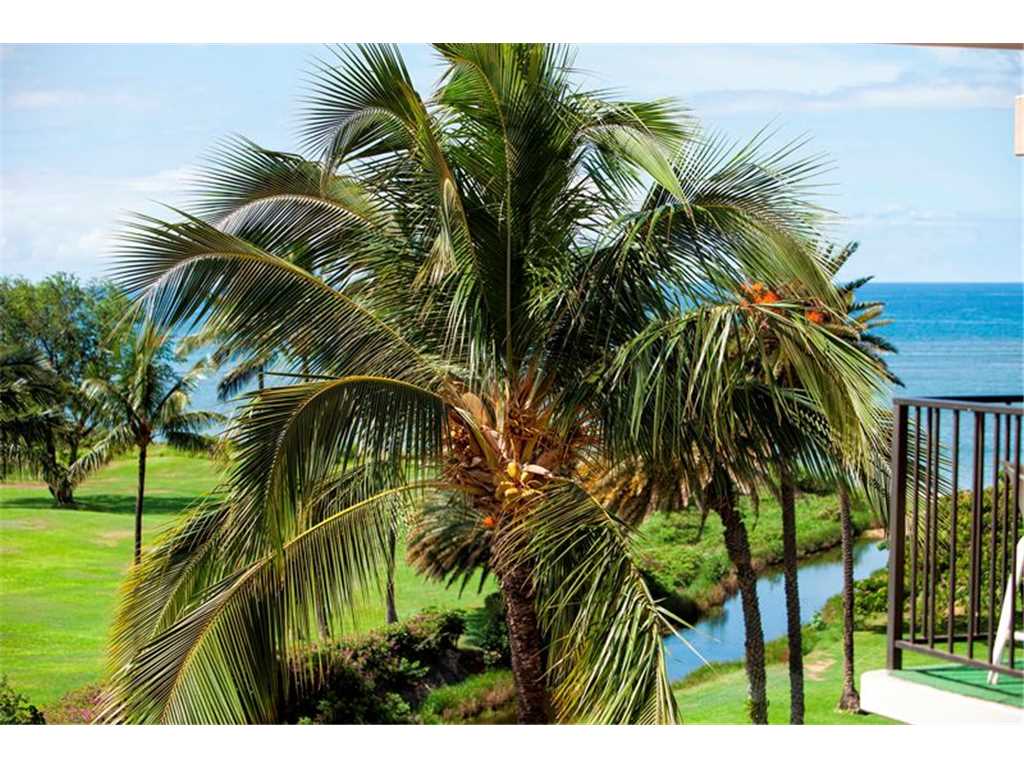 Kauhale Makai