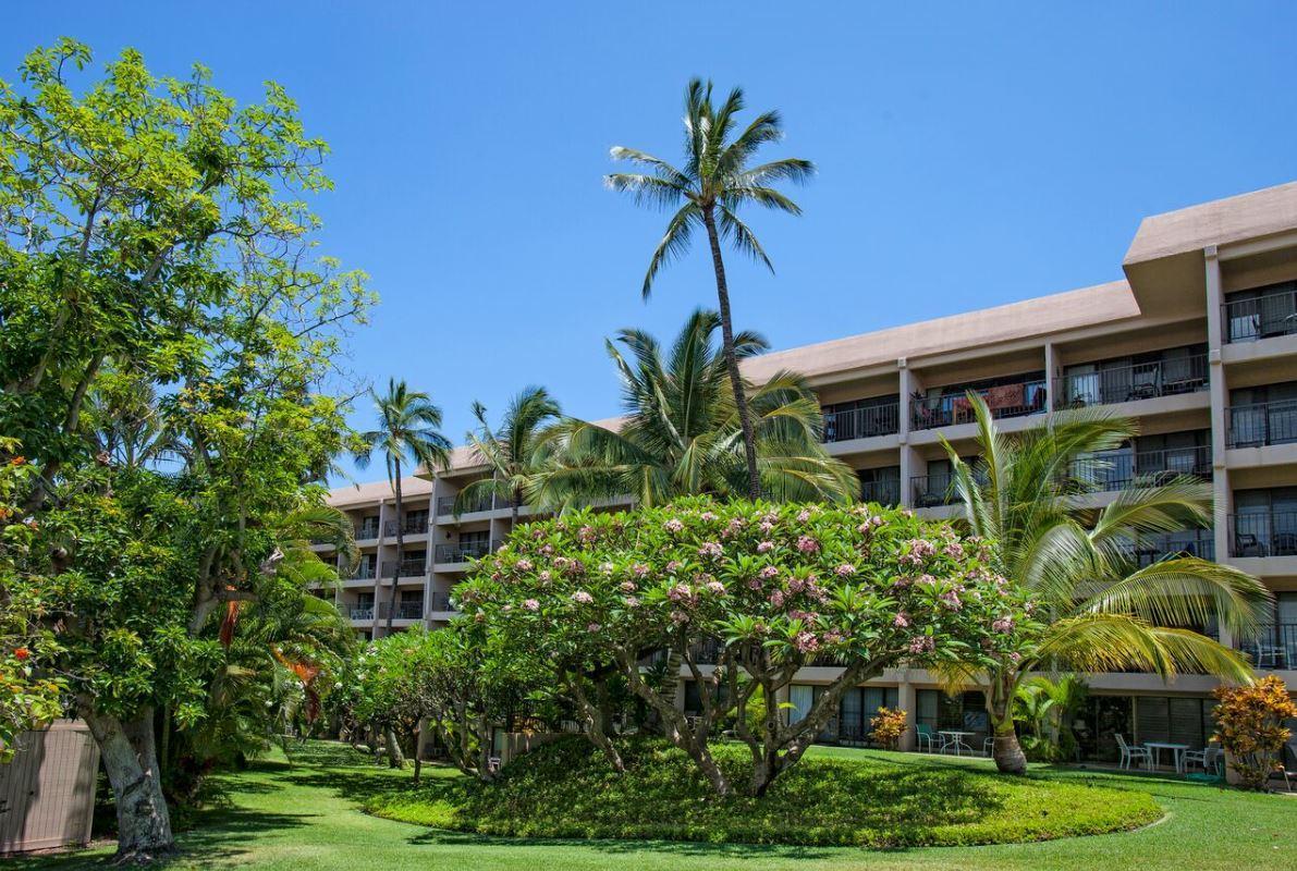 Kihei Akahi