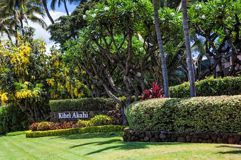 Kihei Akahi