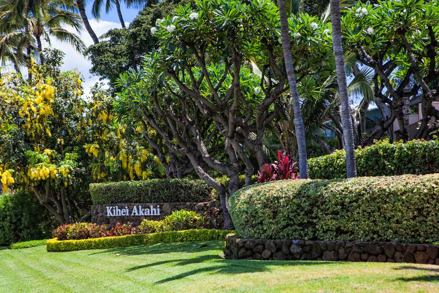 Kihei Akahi
