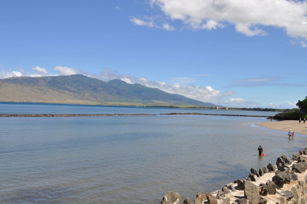 Kihei Bay Vista By Maui Condo & Home