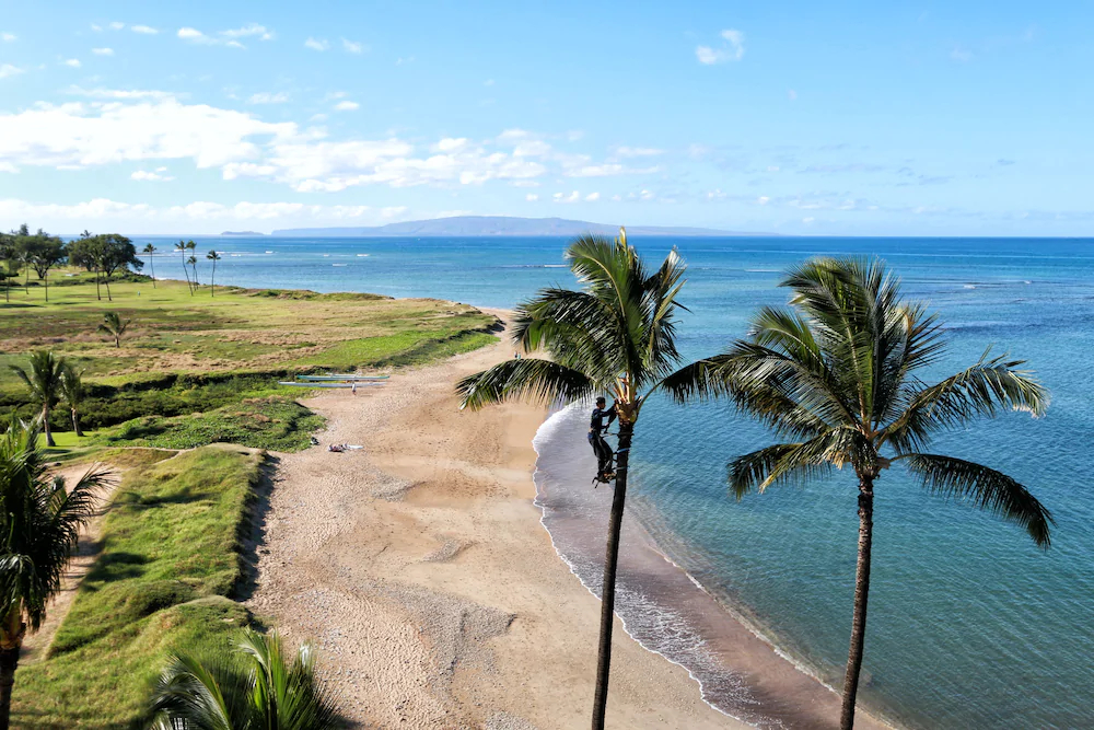 Kihei Bay Vista By Maui Condo & Home