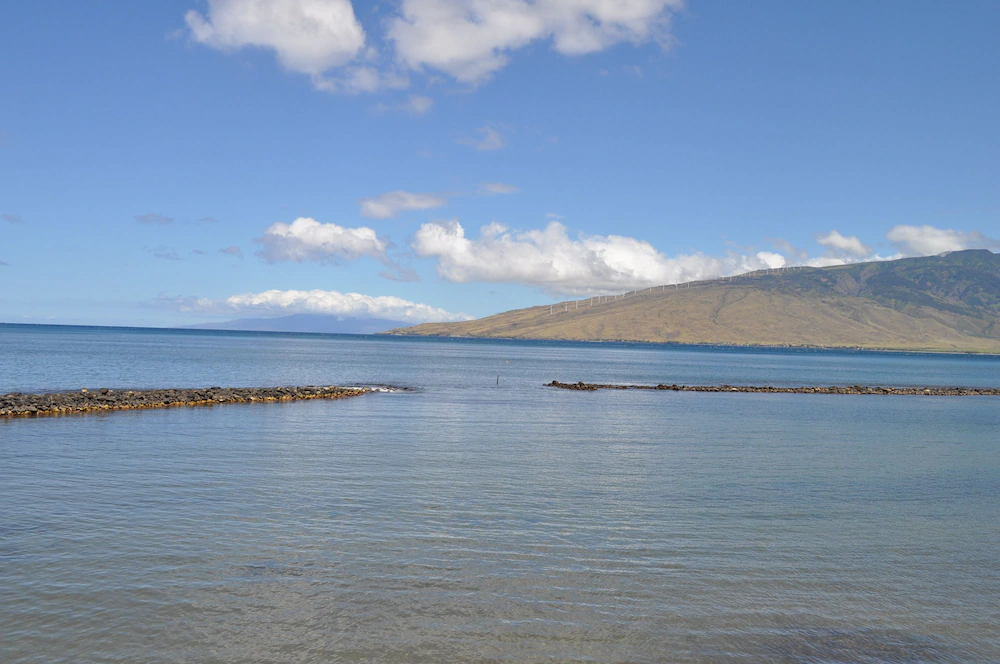 Kihei Bay Vista By Maui Condo & Home