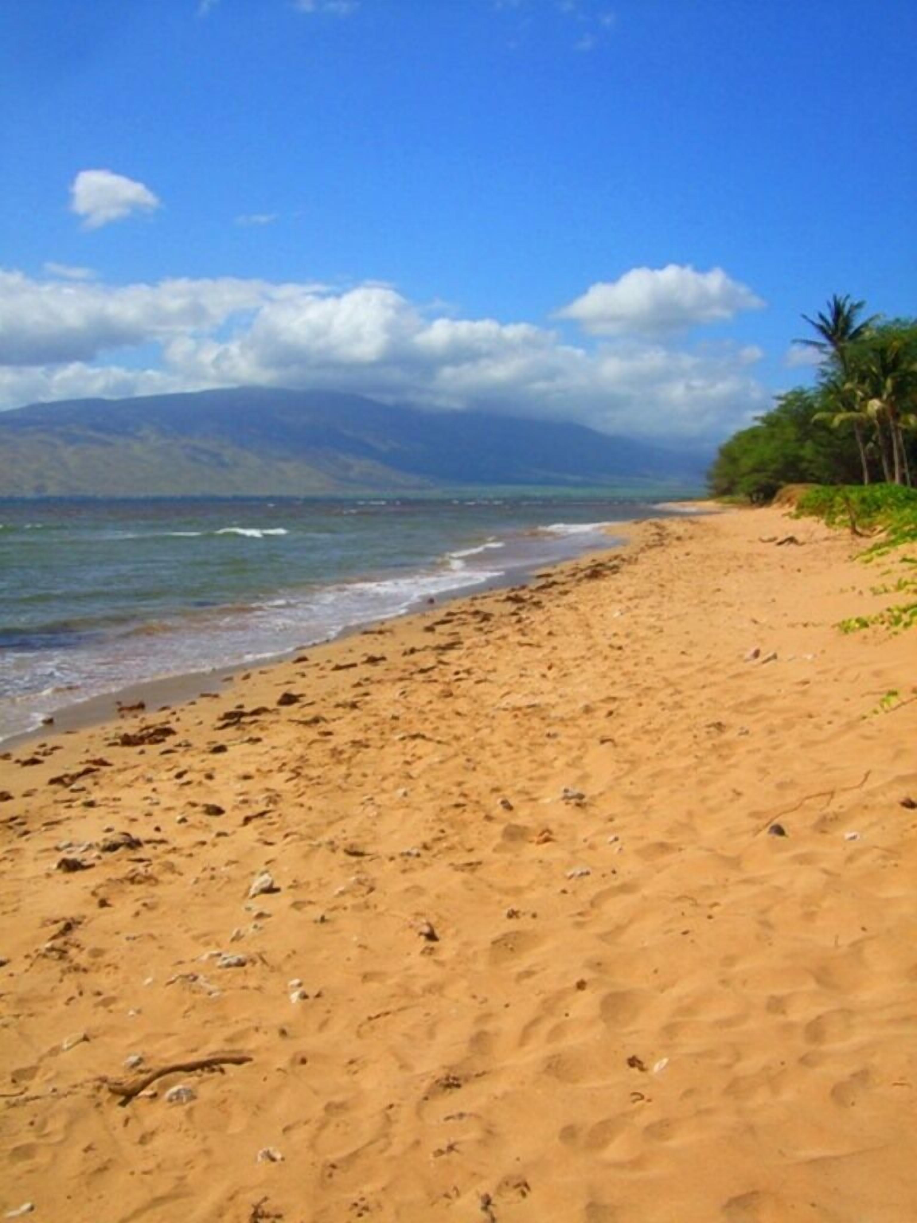 Kihei Garden Estates - Building B
