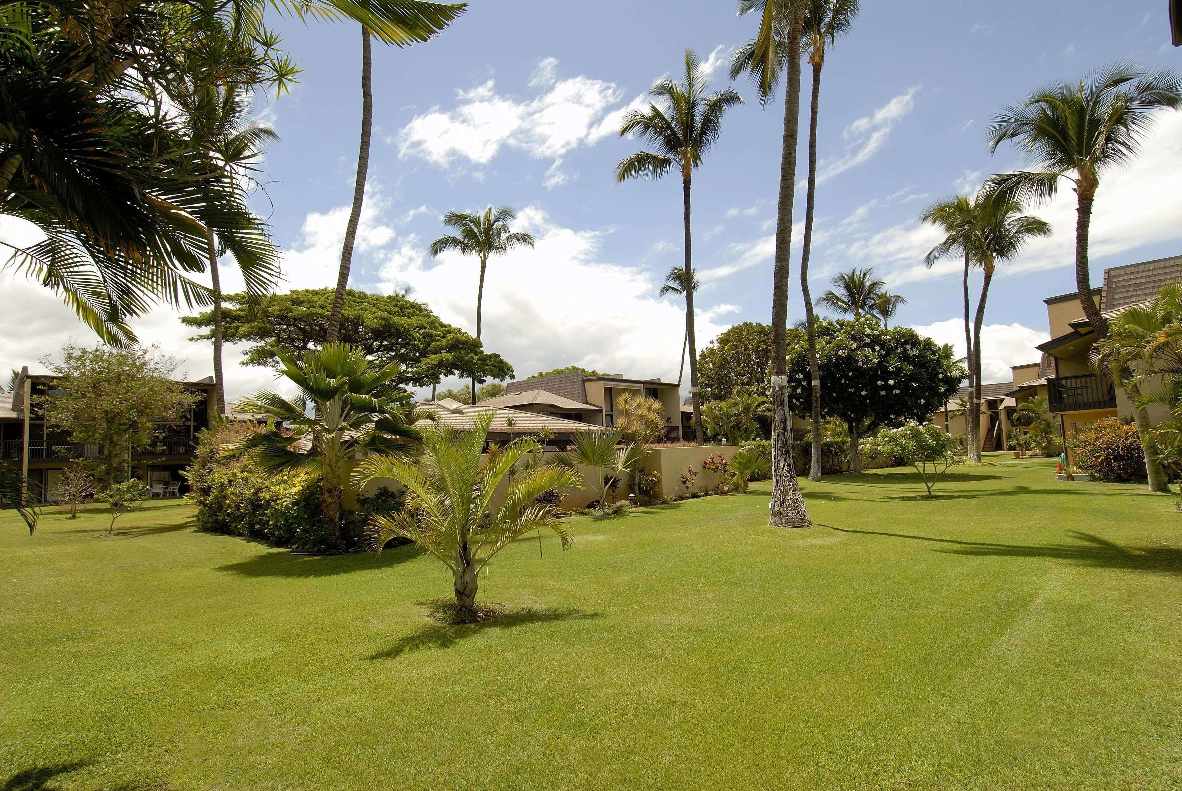 Kihei Garden Estates - Building G