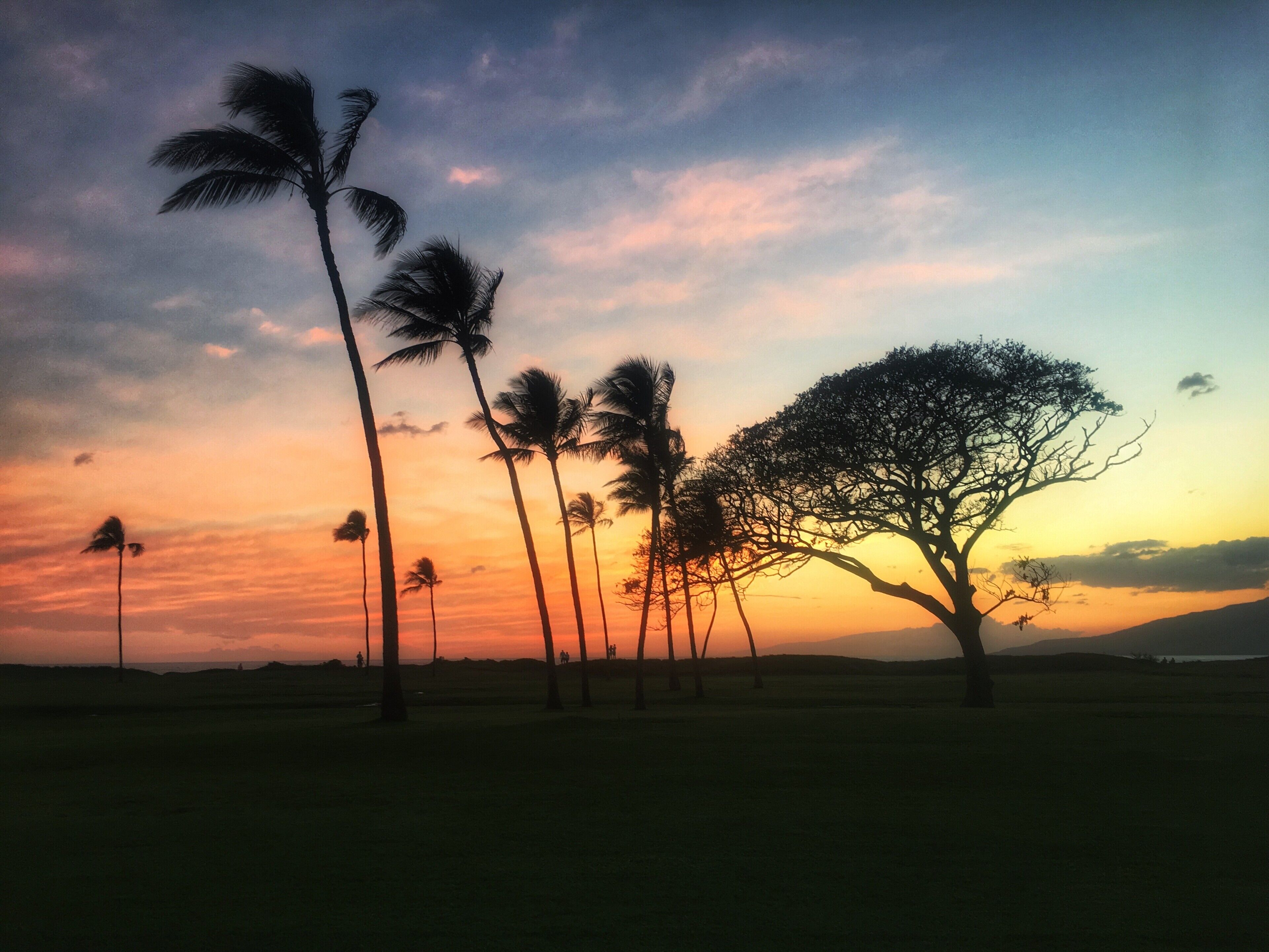 Kihei Garden Estates - Building G