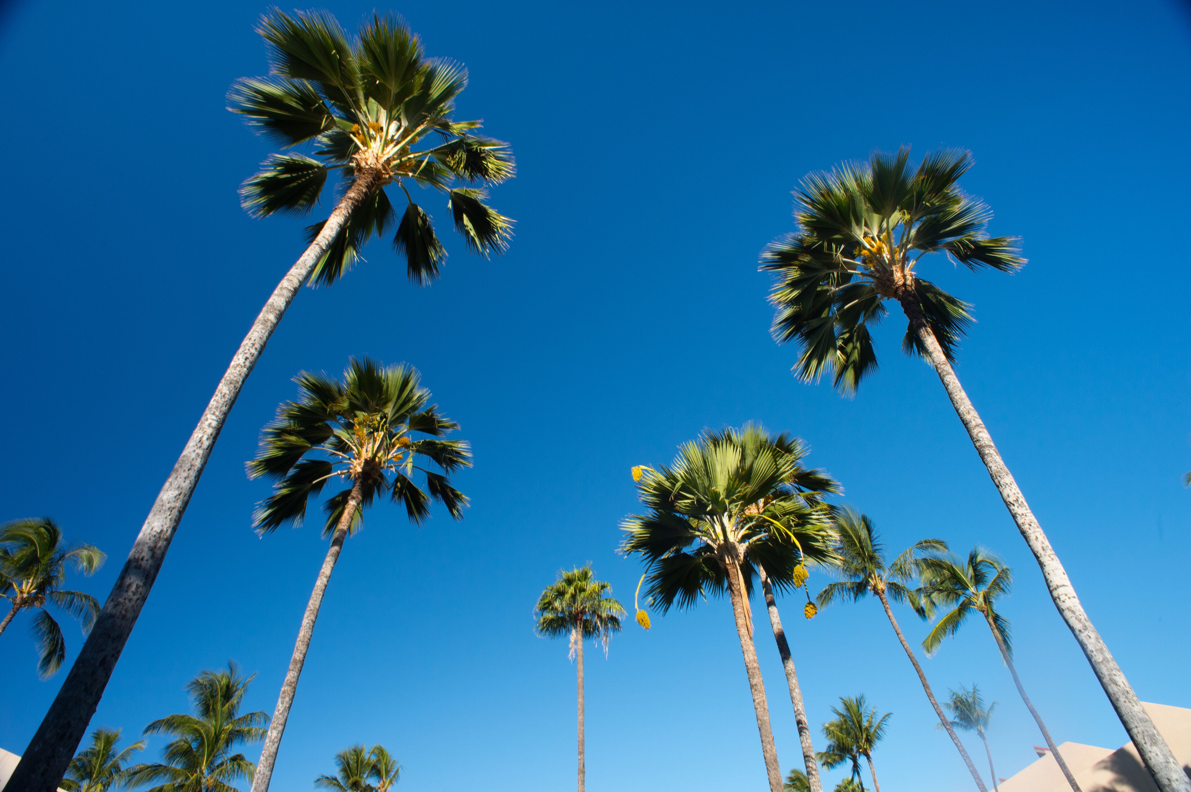 Kihei Garden Estates - Building G