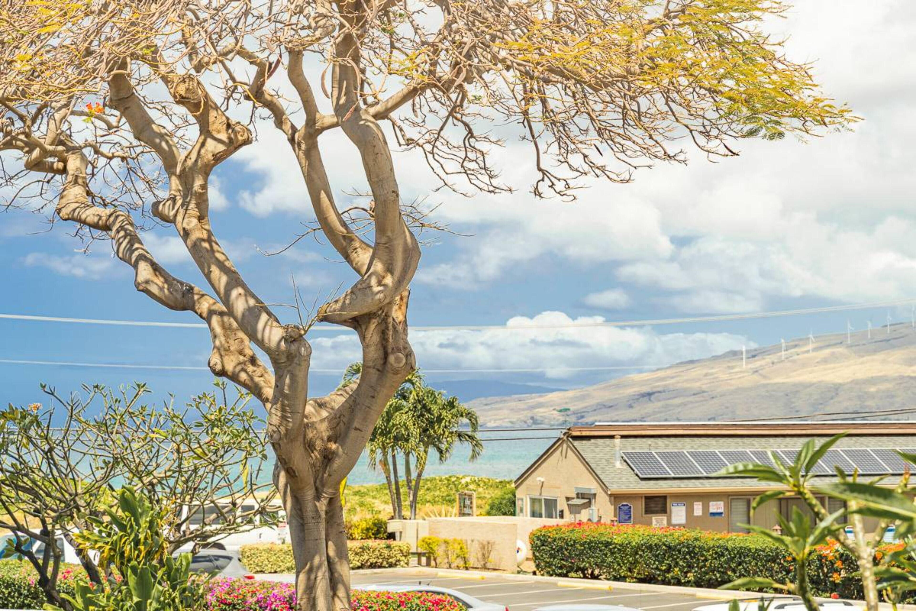 Kihei Holiday by Coldwell Banker Island Vacations