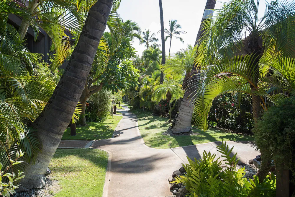 Kihei Resort