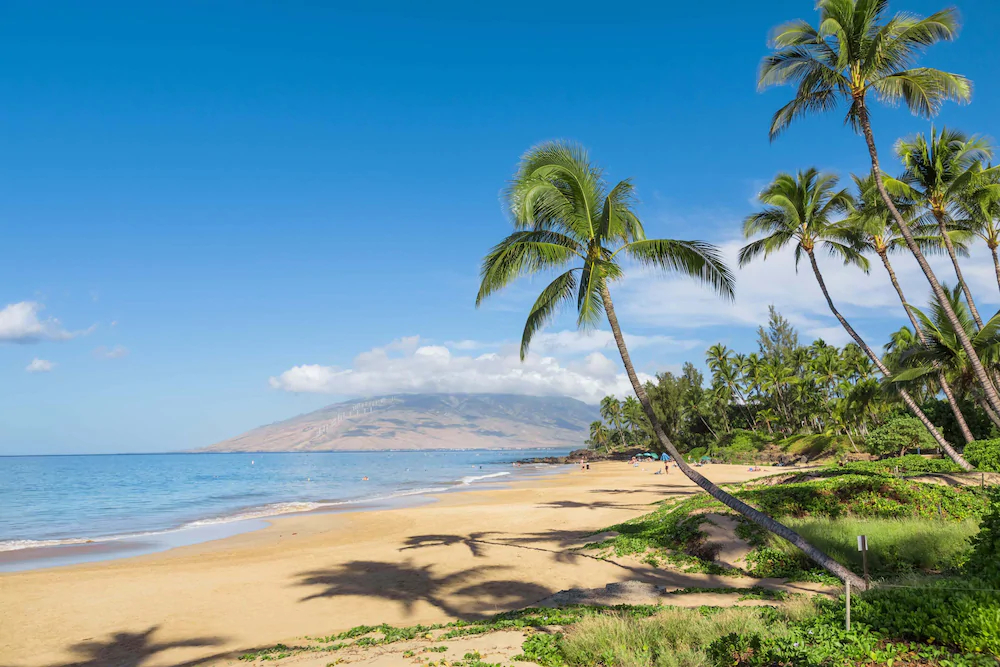 Koa Lagoon by Vacation Rental Pros