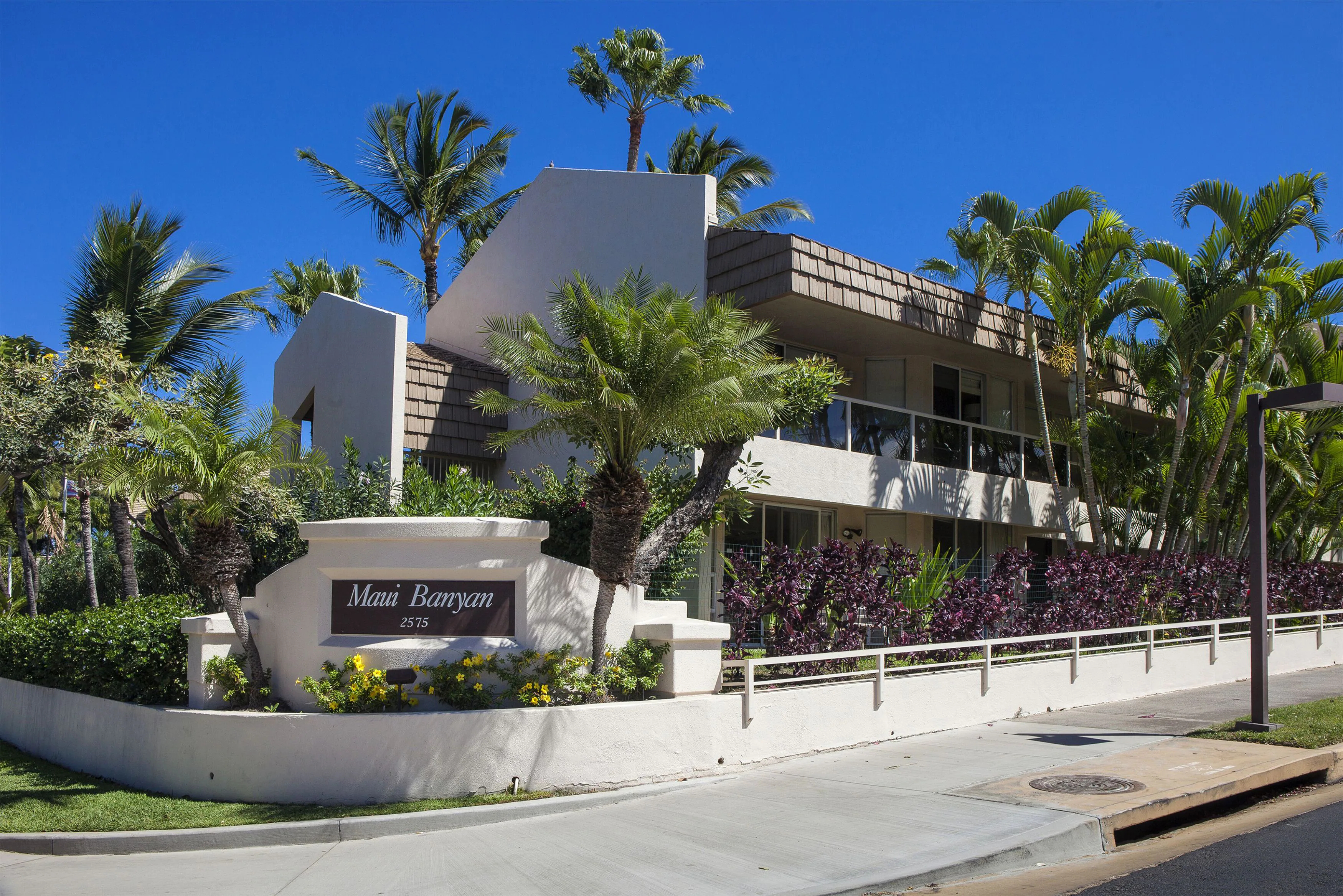 Maui Banyan Basic by AEI