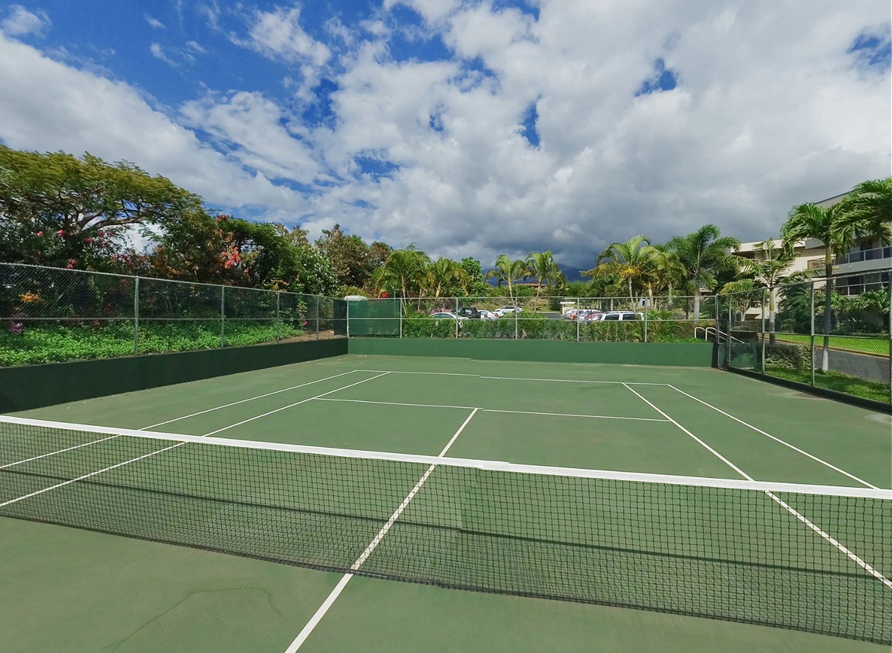 Maui Banyan Basic by AEI