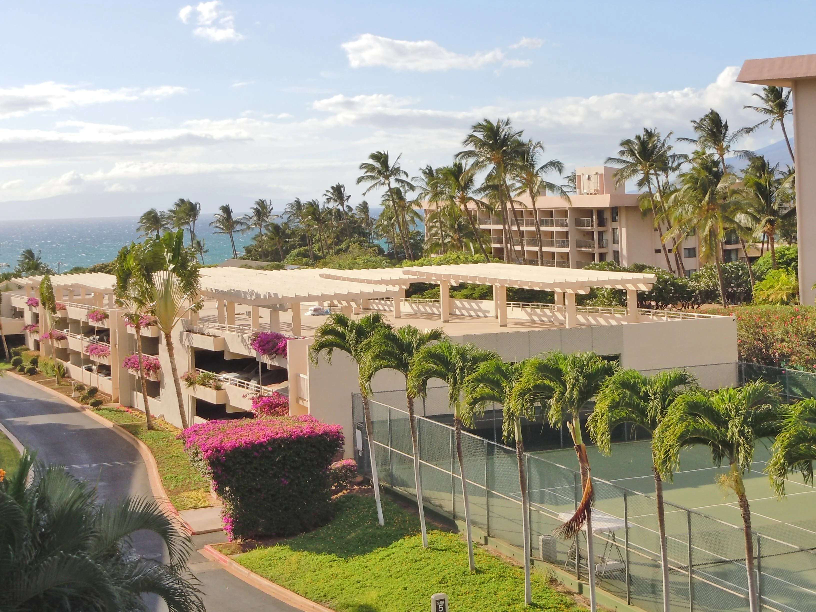 Maui Banyan Basic by AEI