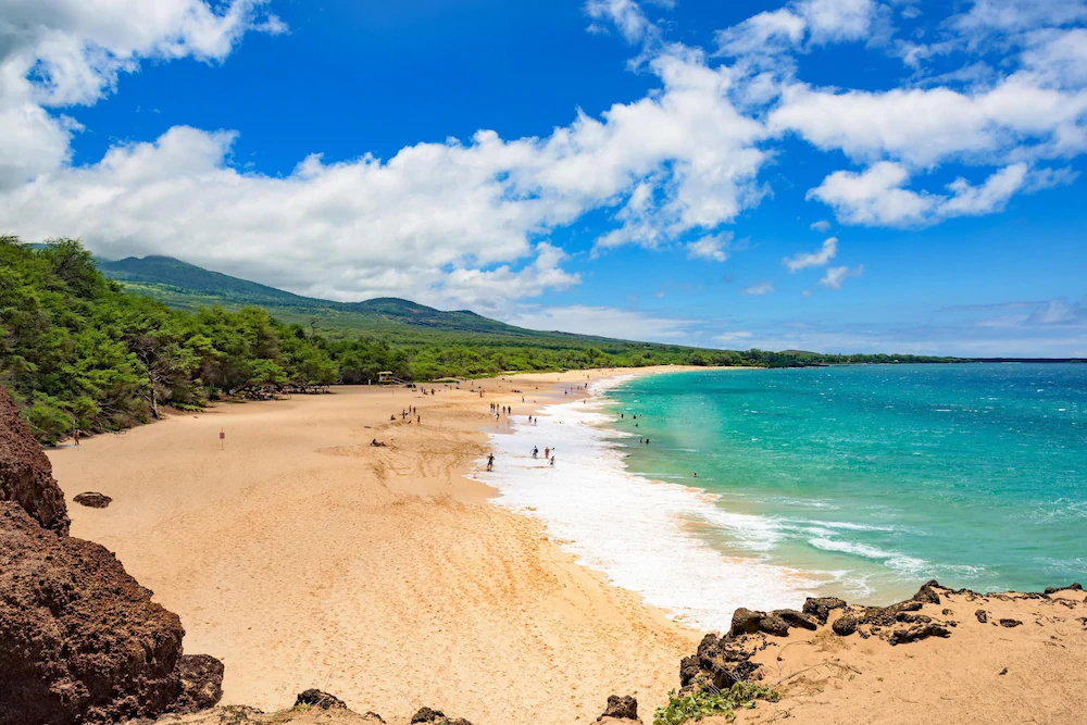 Maui Banyan by Vacation Rental Pros