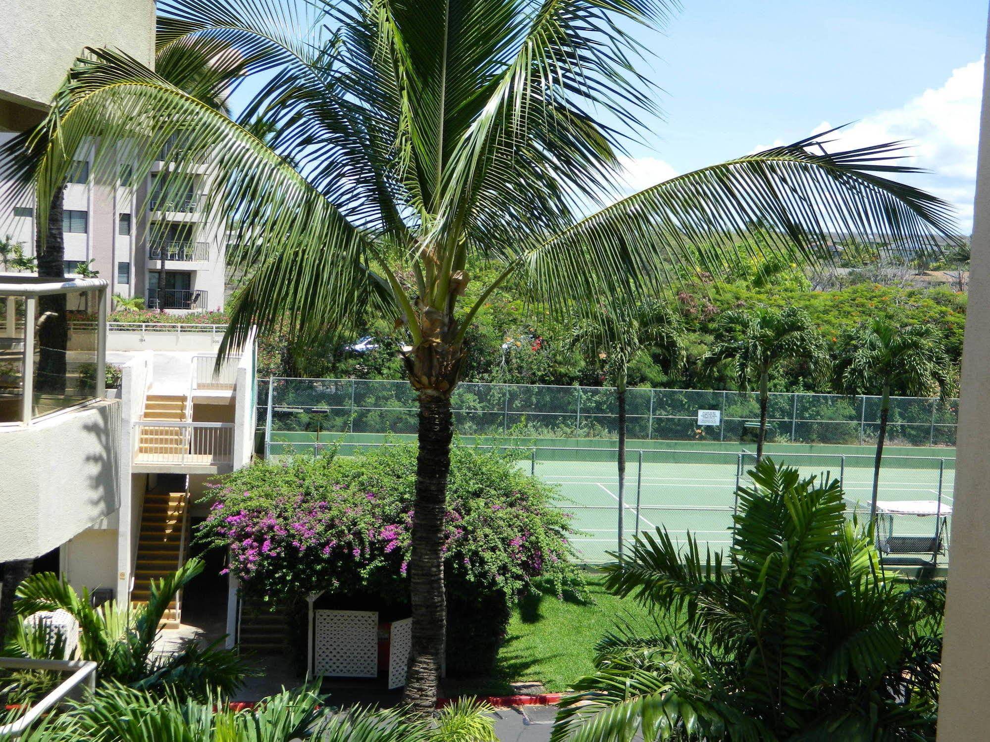 Maui Banyan Vacation Club