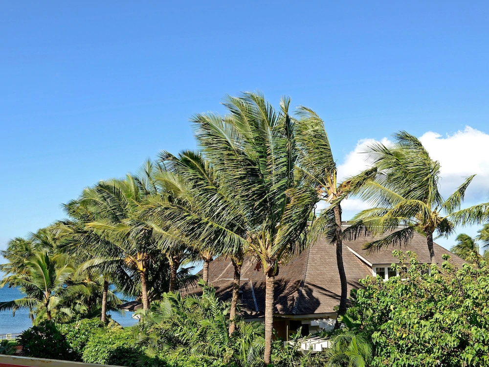 Nani Kai Hale by Vacation Rental Pros