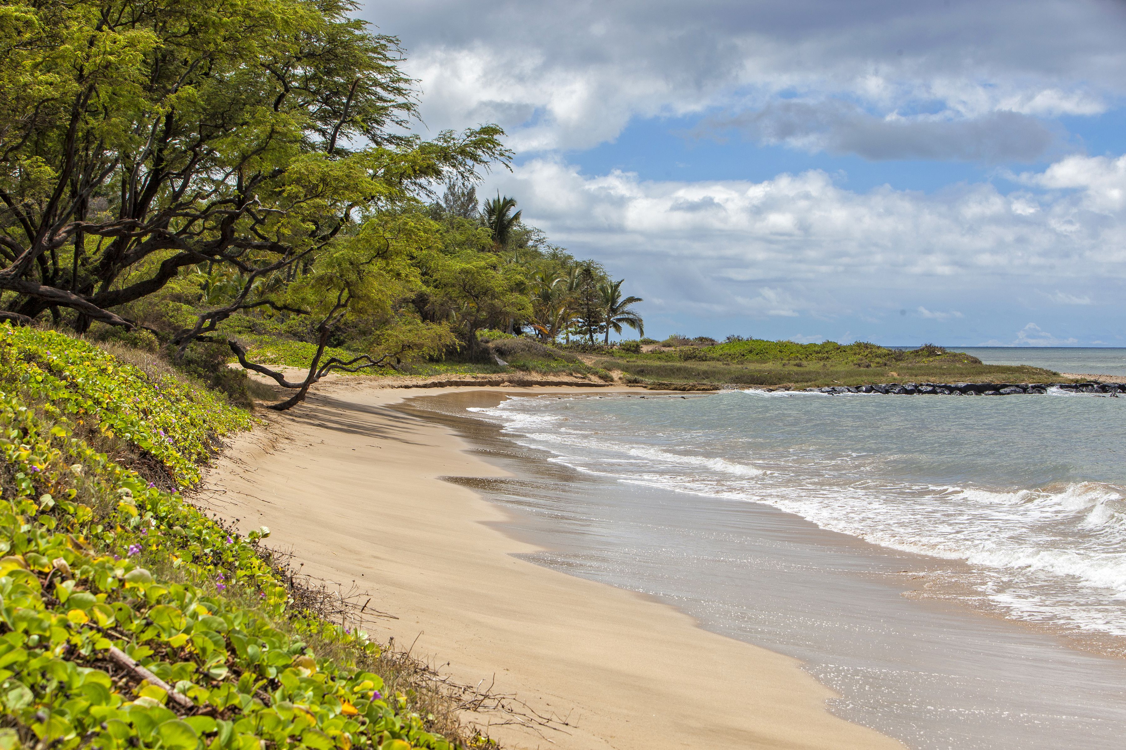 Waiohuli Beach Hale - Building C