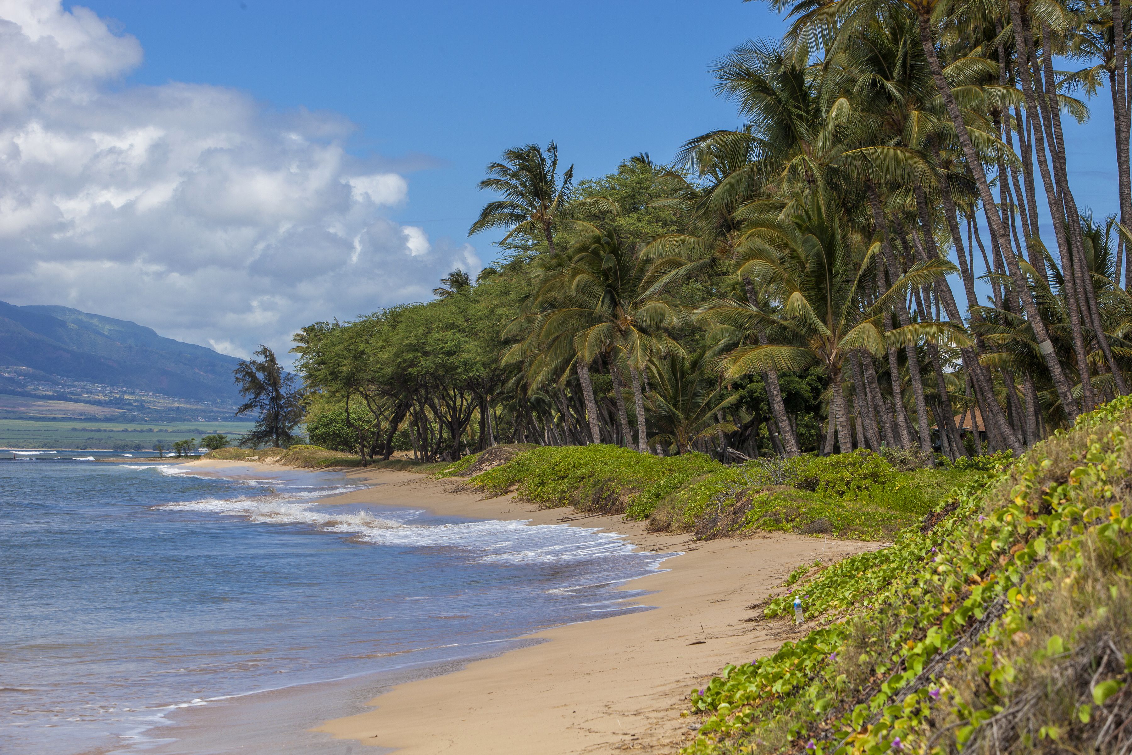Waiohuli Beach Hale - Building C