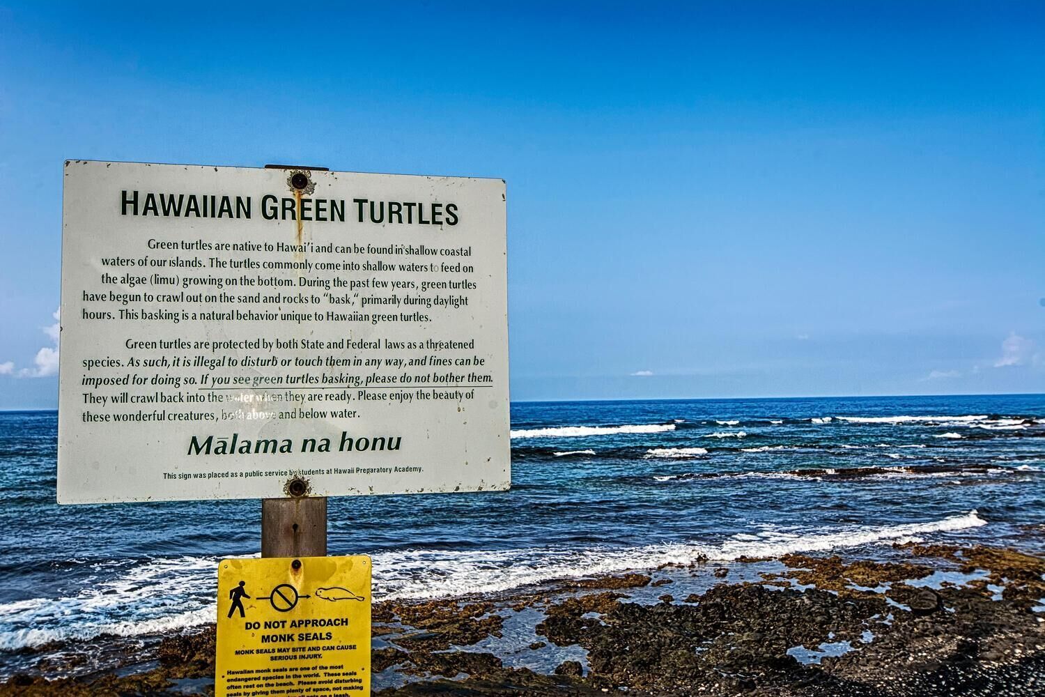 Kona Surf & Racquet Club